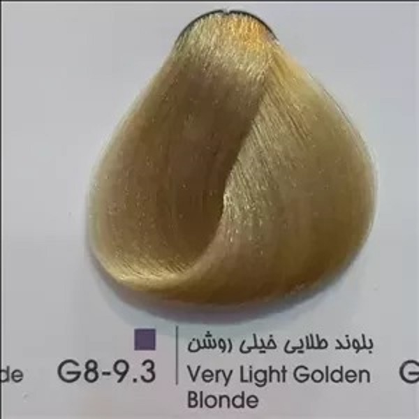 G8