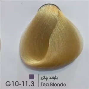 G10