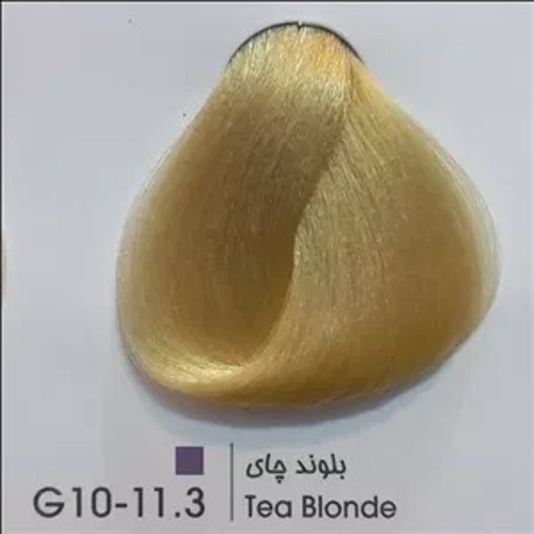 G10
