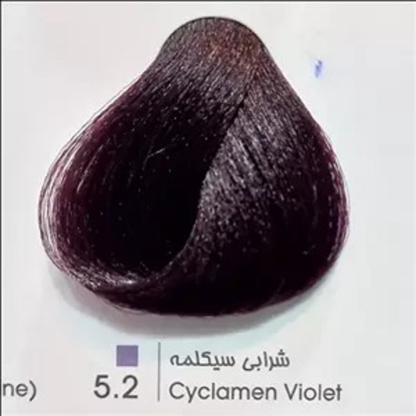 5.2