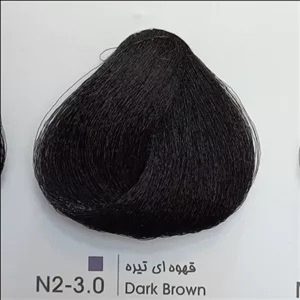 n2