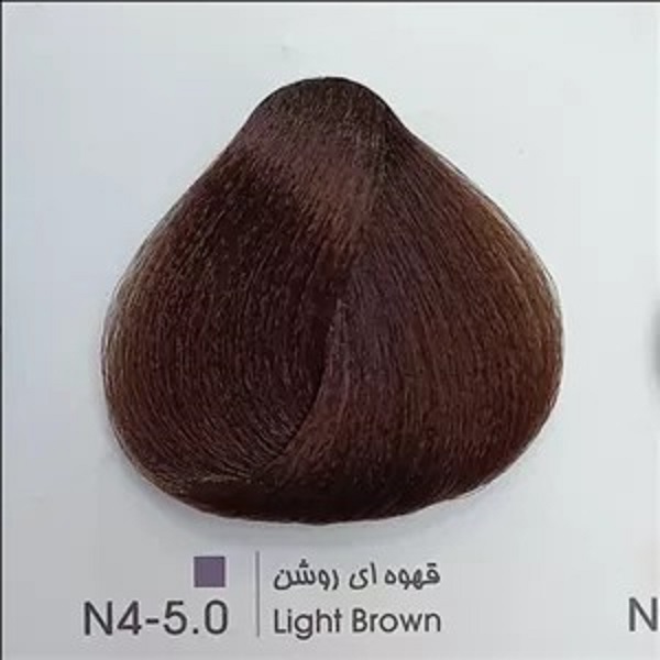 n4
