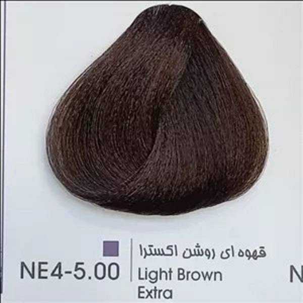 NE4