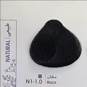 n1
