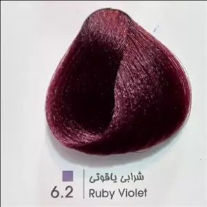 6.2