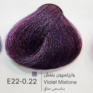 E22-0.22