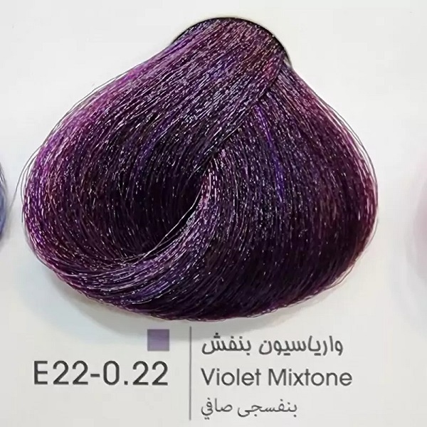 E22-0.22